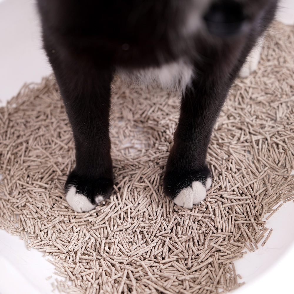 Arena para Gatos de Tofu con Café