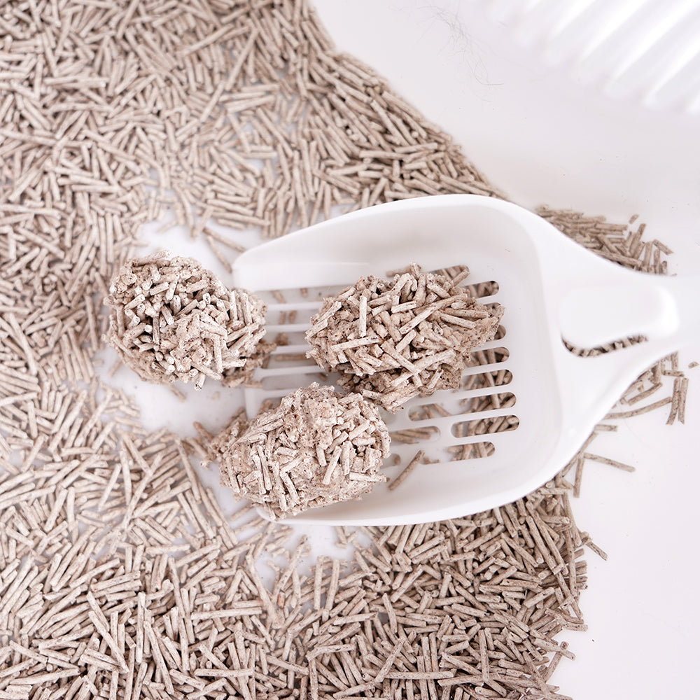 Arena para Gatos de Tofu con Café