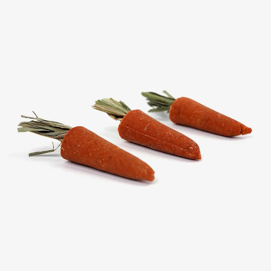 Juguetes de Zanahoria para Mascotas