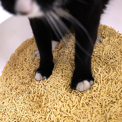 Arena para Gatos con Limón 6L